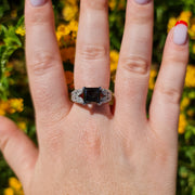 Emma  - 3.34 carat natural black diamond ring with 1.05 carat natural white diamonds